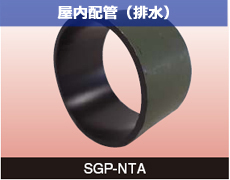 SGP-NTA